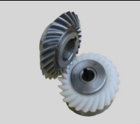 陜西弧齒 陜西弧齒